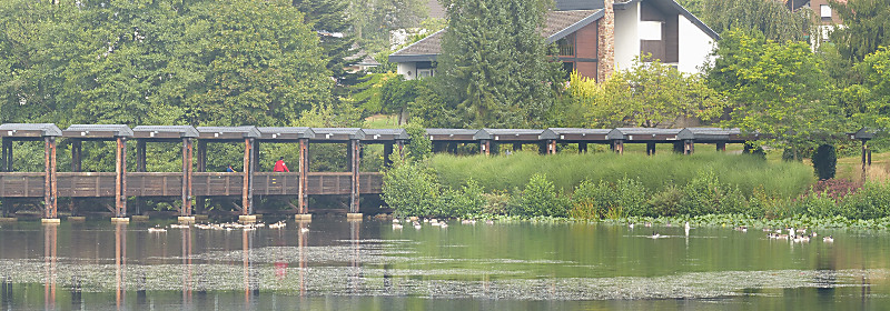 Weiskirchen Kurparkweiher 1110264